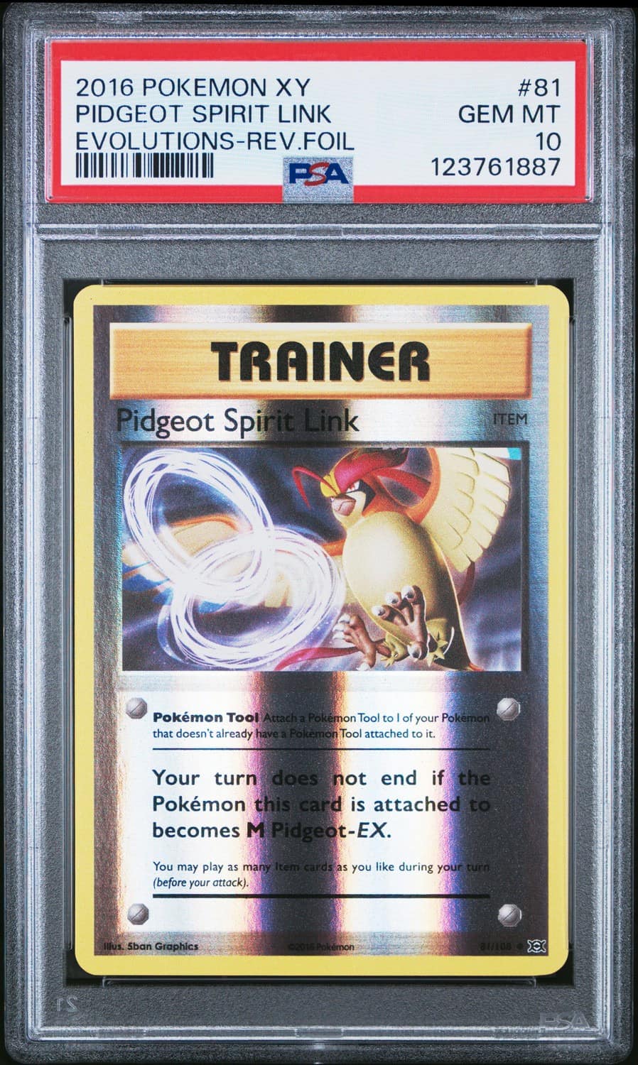 Pidgeot Spirit Link