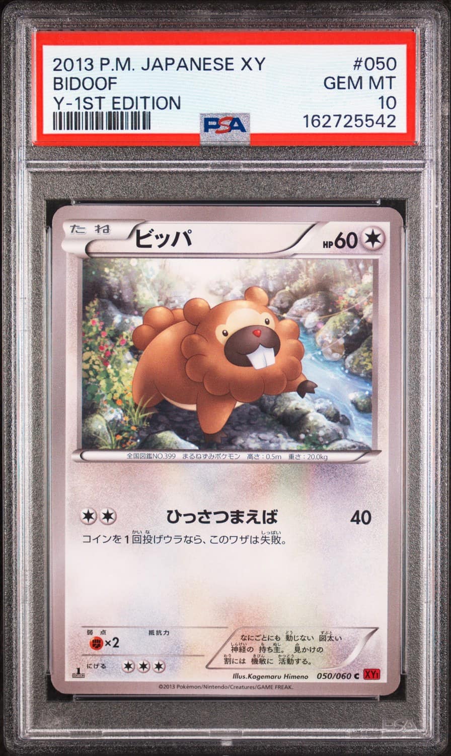 Bidoof