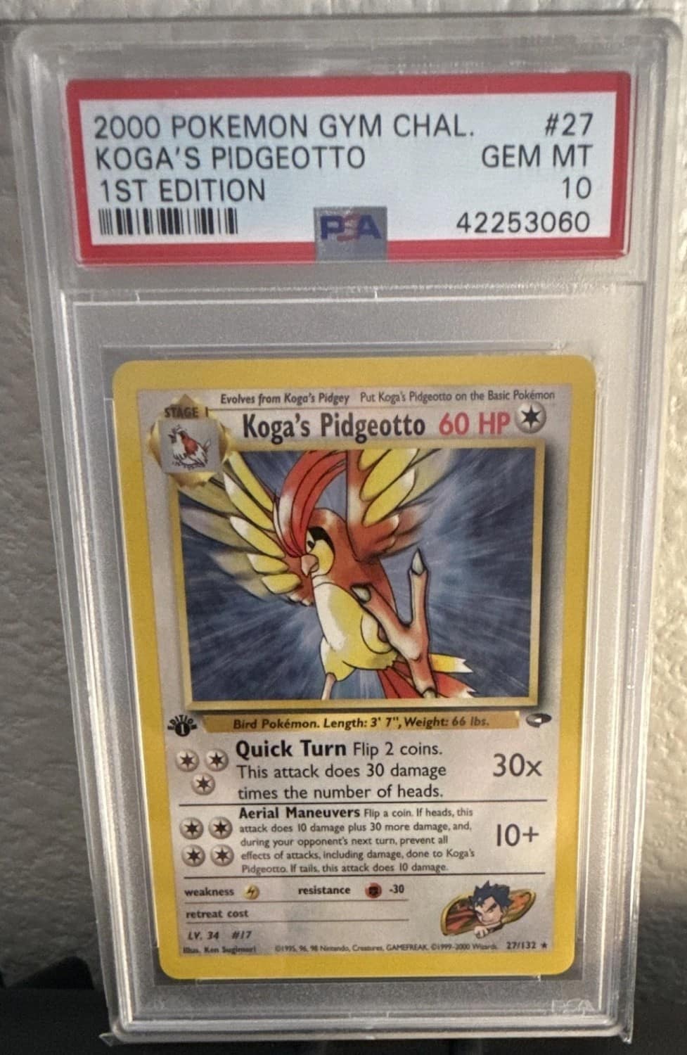 Koga'S Pidgeotto