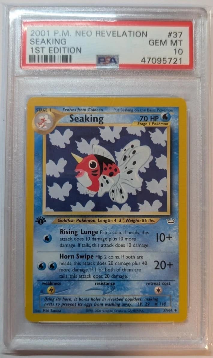 Seaking