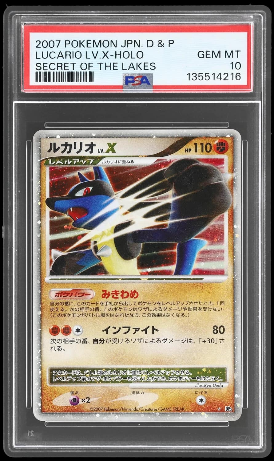 Lucario Lv X
