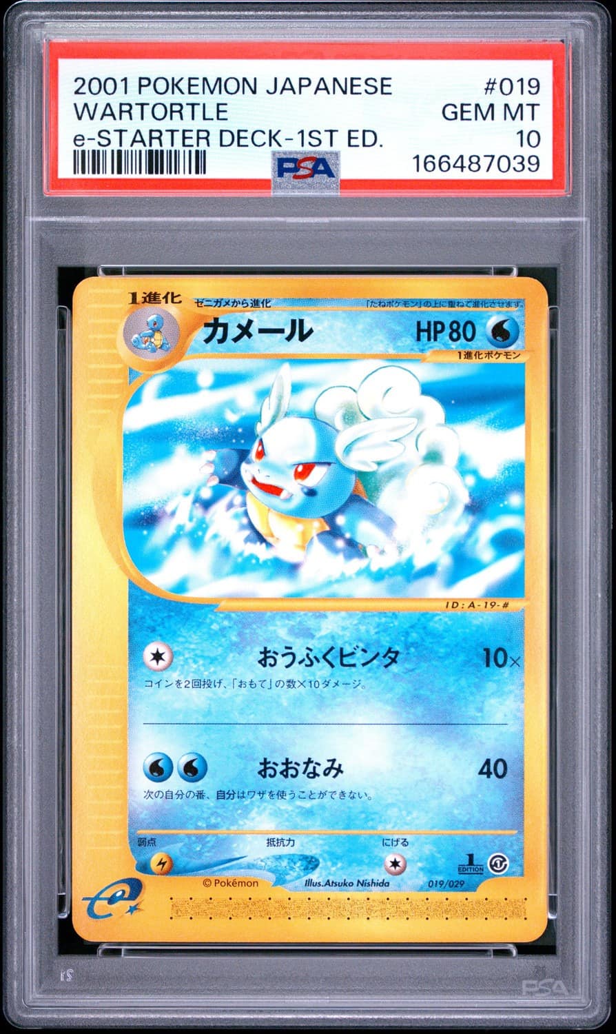 Wartortle