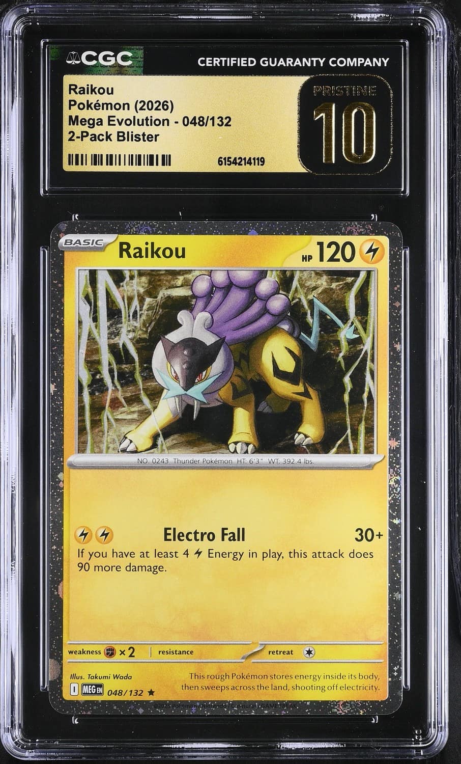 Raikou