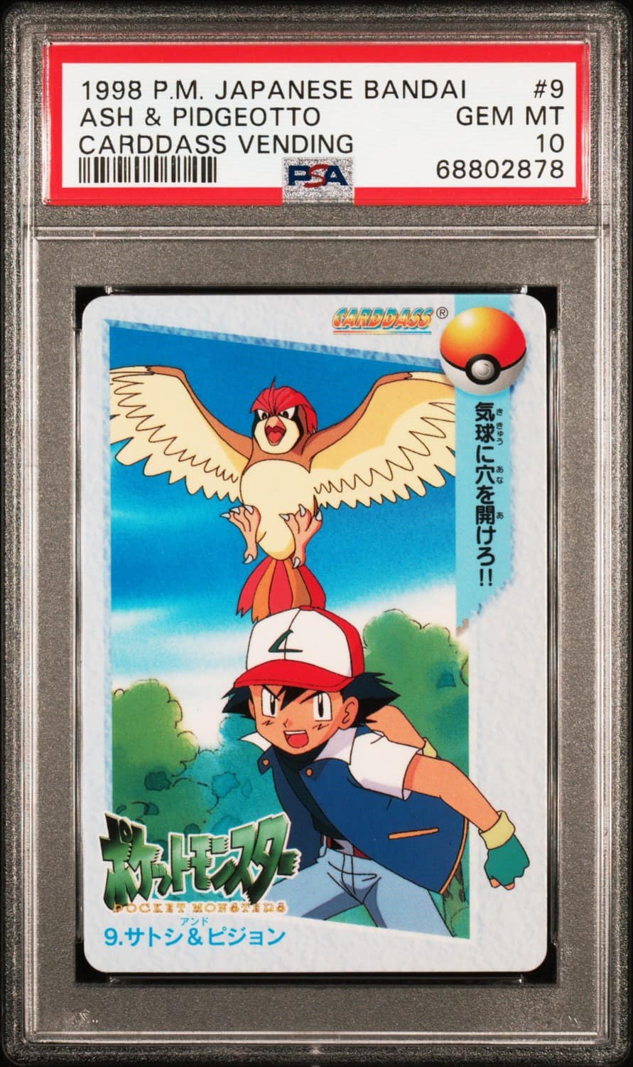 Ash & Pidgeotto