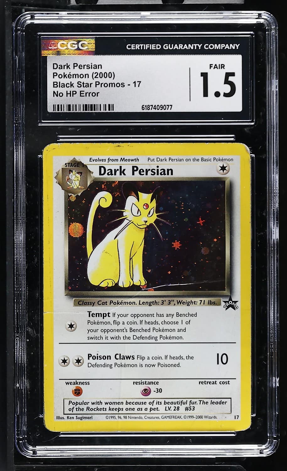 Dark Persian