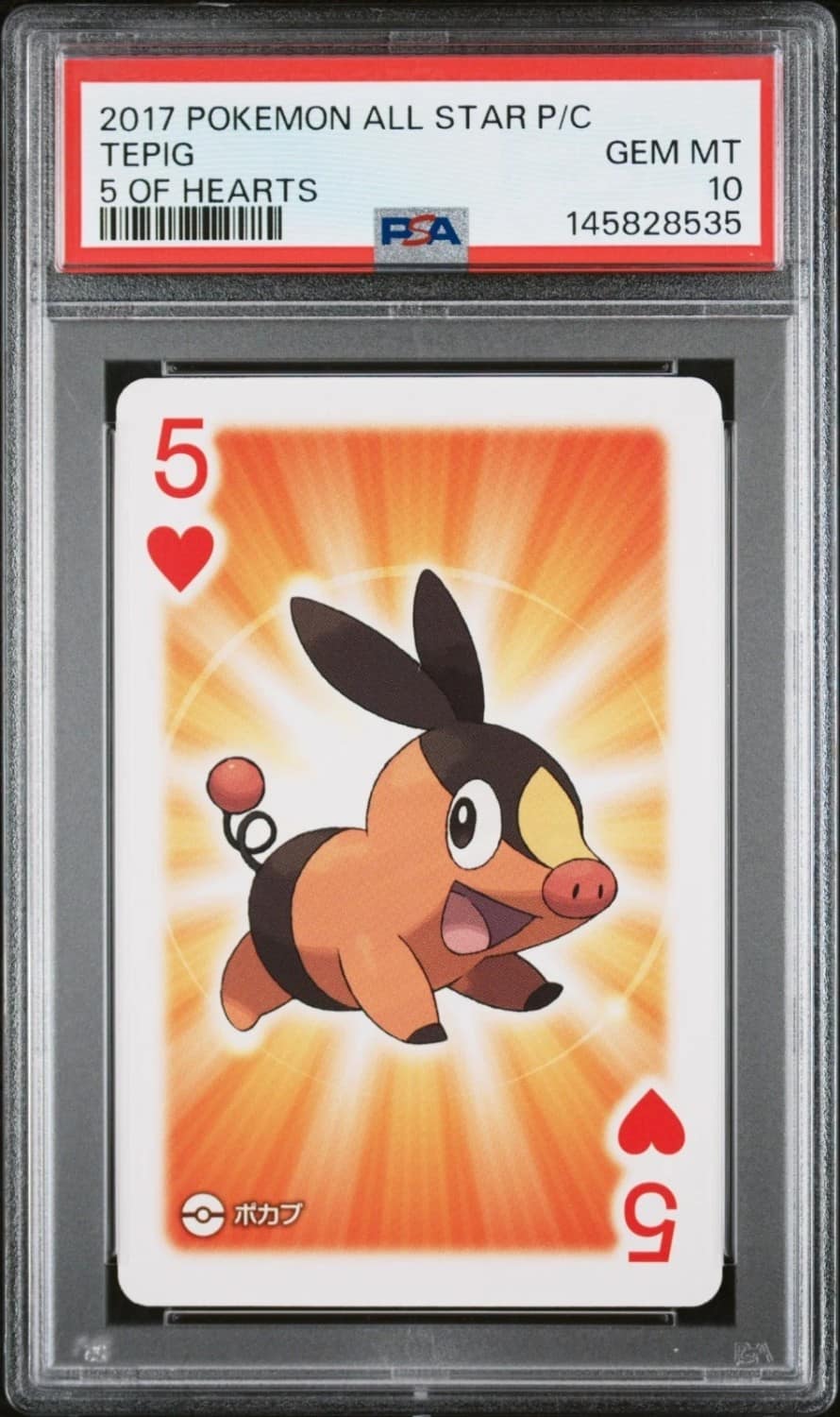 Tepig
