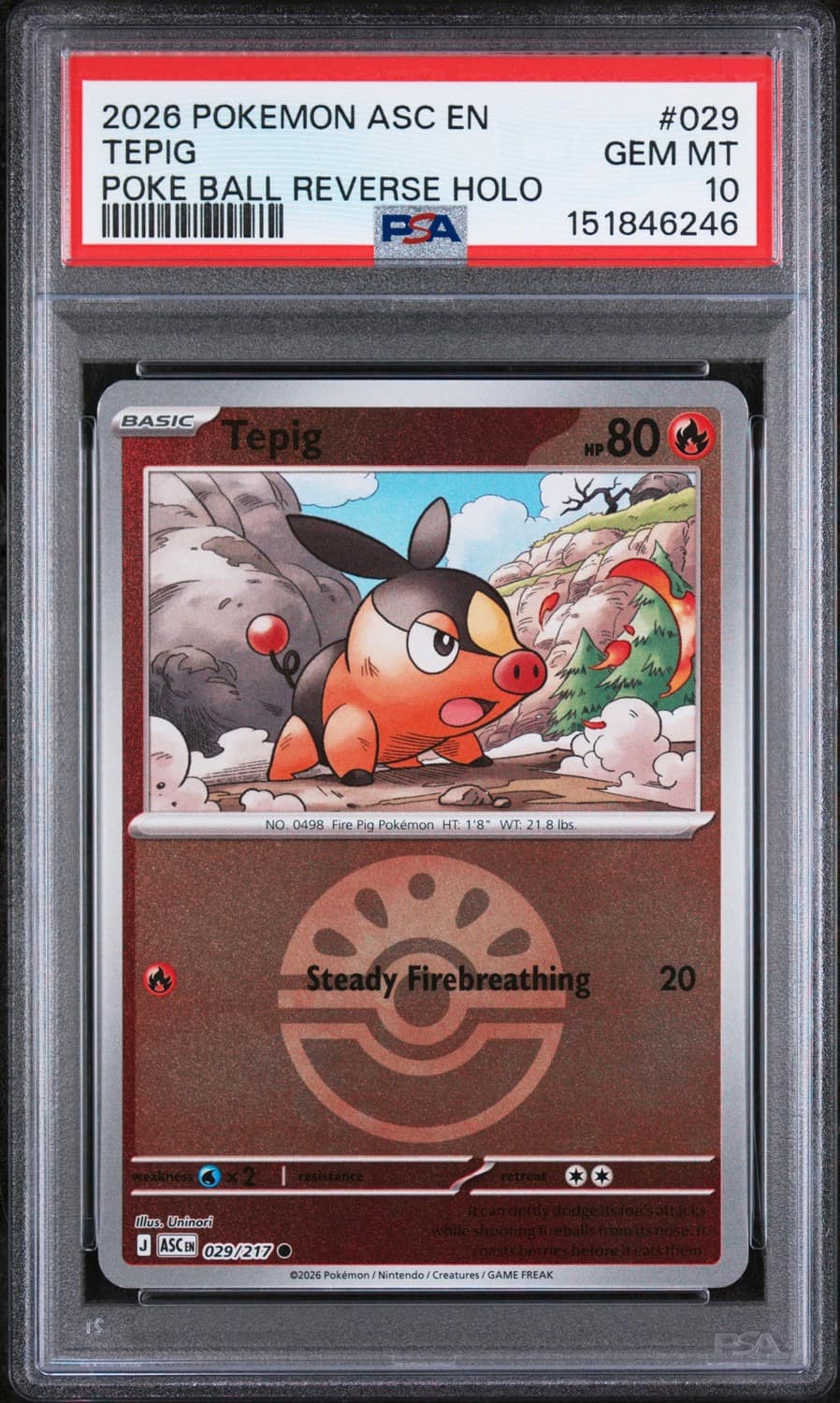 Tepig