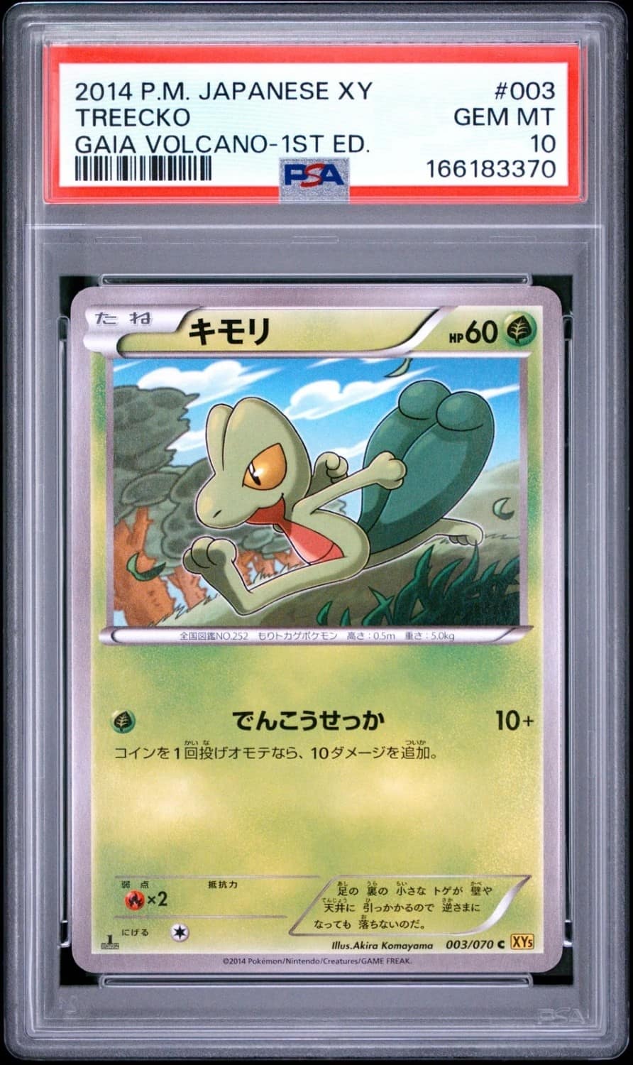 Treecko