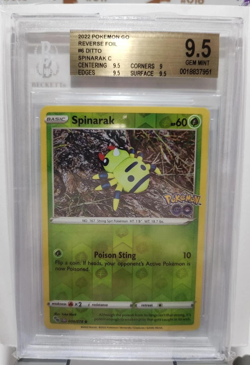 Spinarak