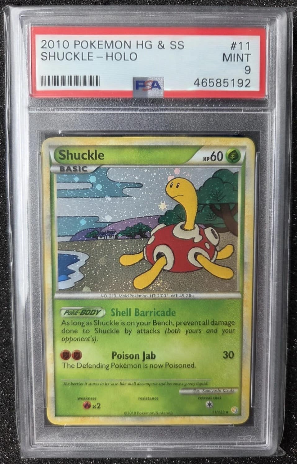 Shuckle