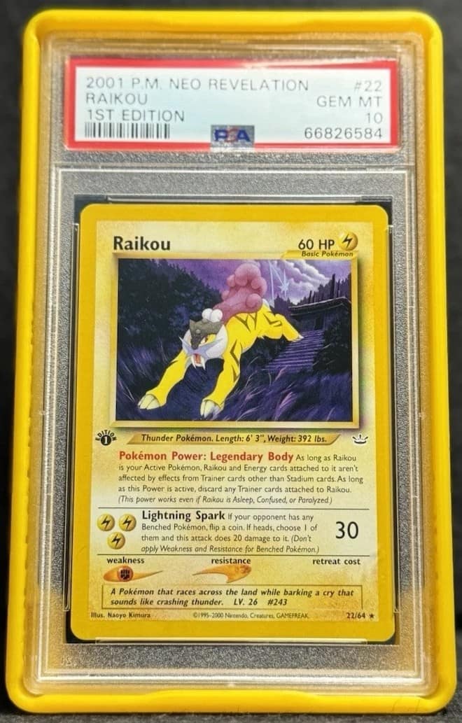 Raikou