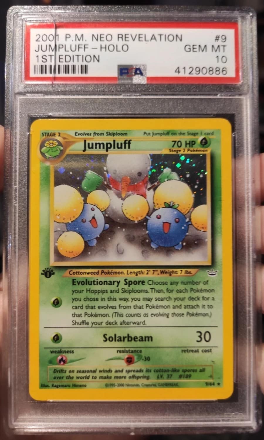 Jumpluff