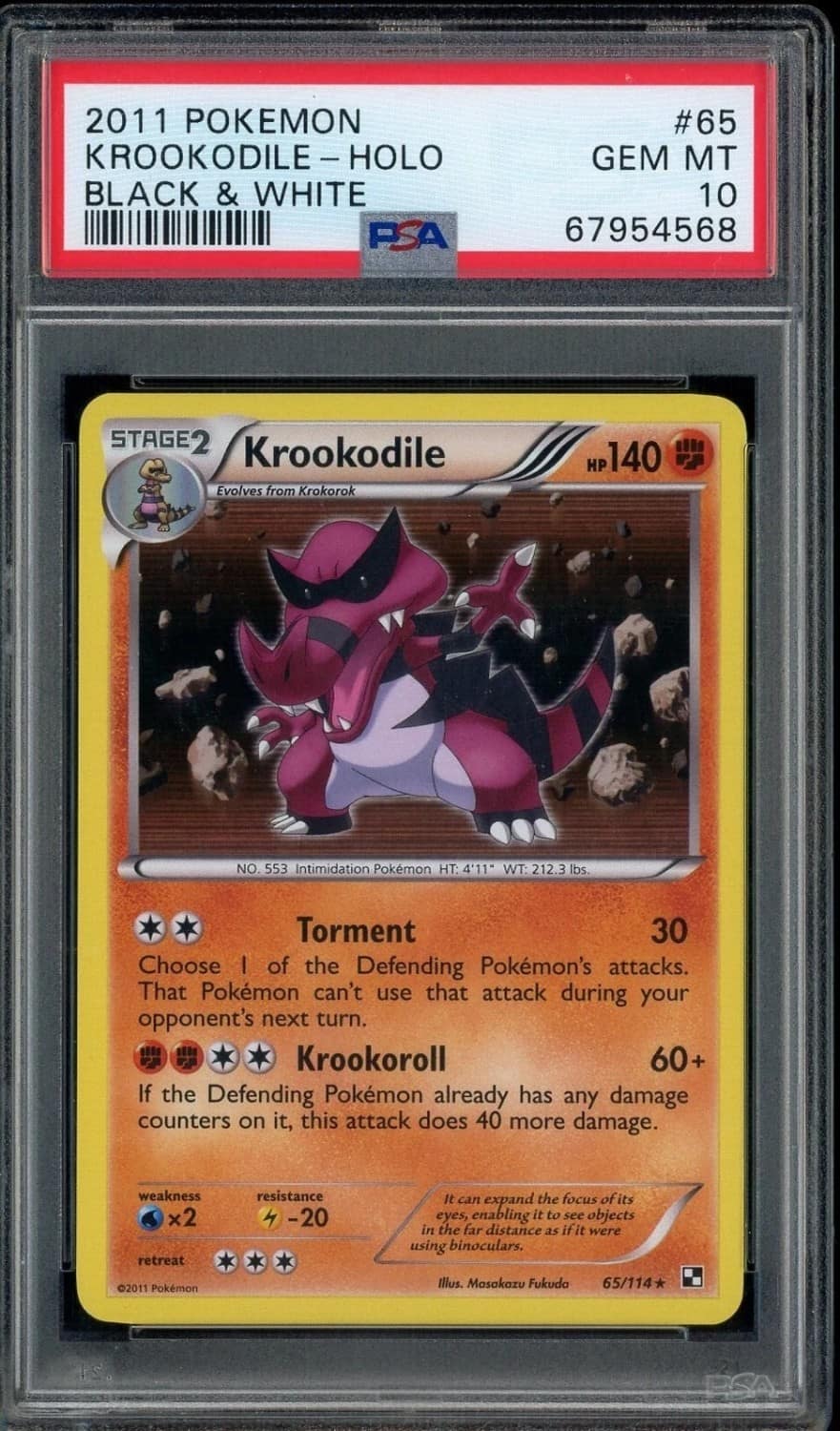 Krookodile