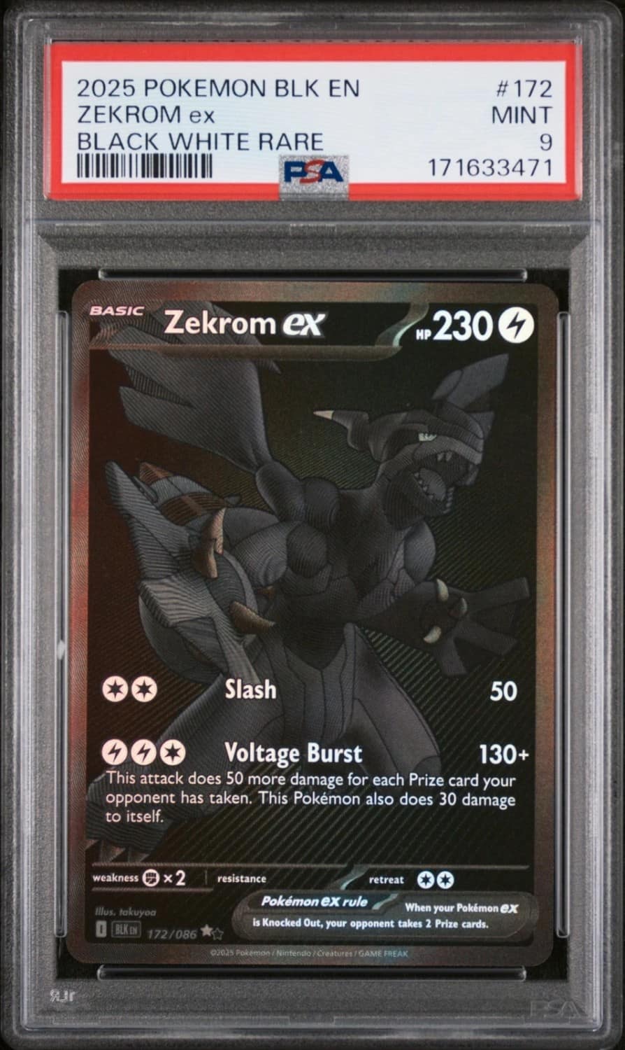 Zekrom Ex