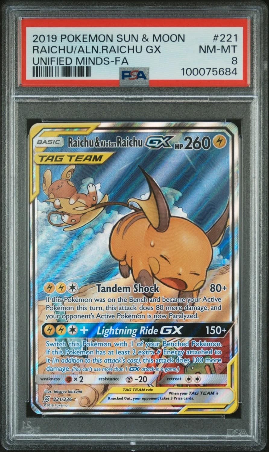 Raichu & Alolan Raichu Gx