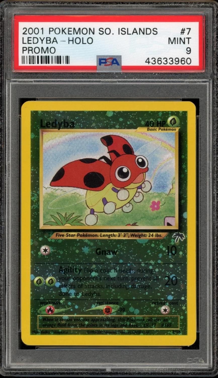Ledyba