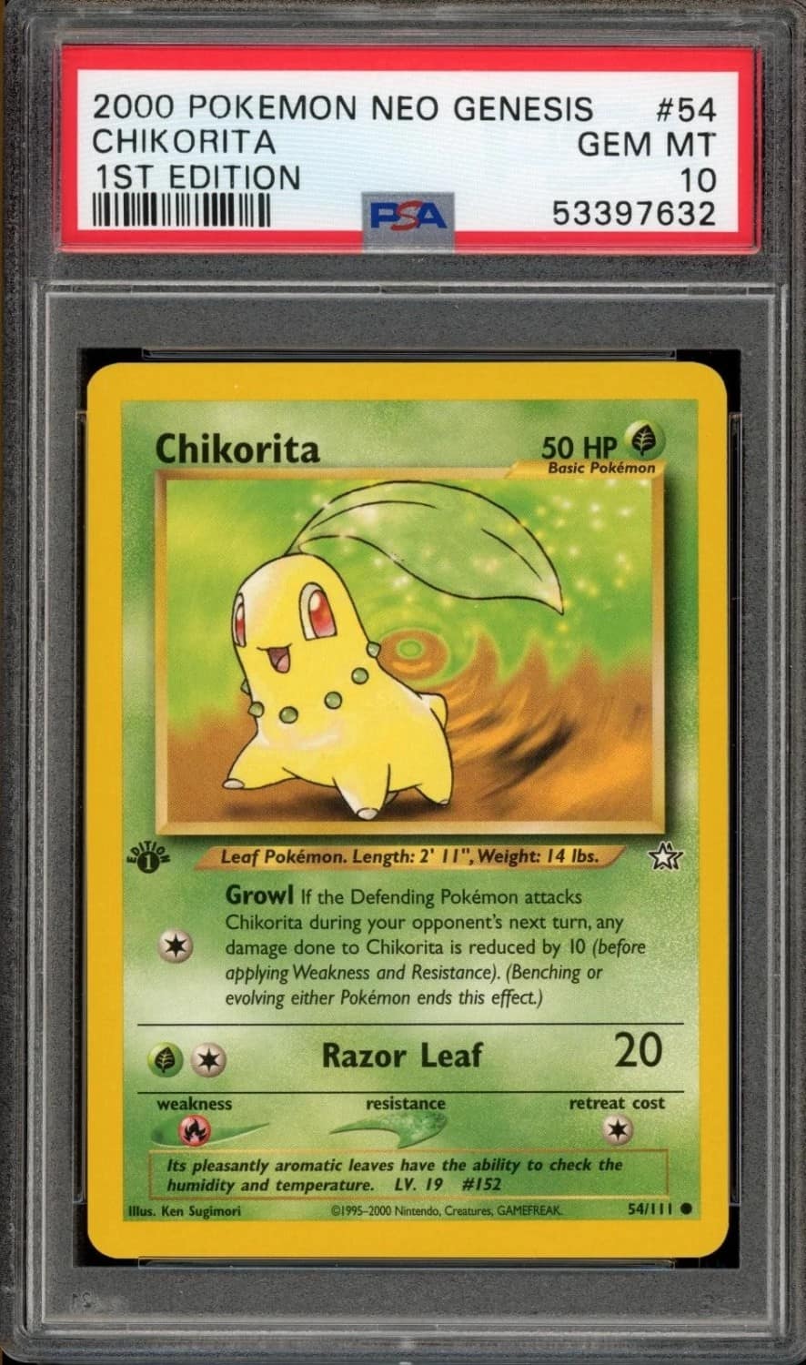 Chikorita