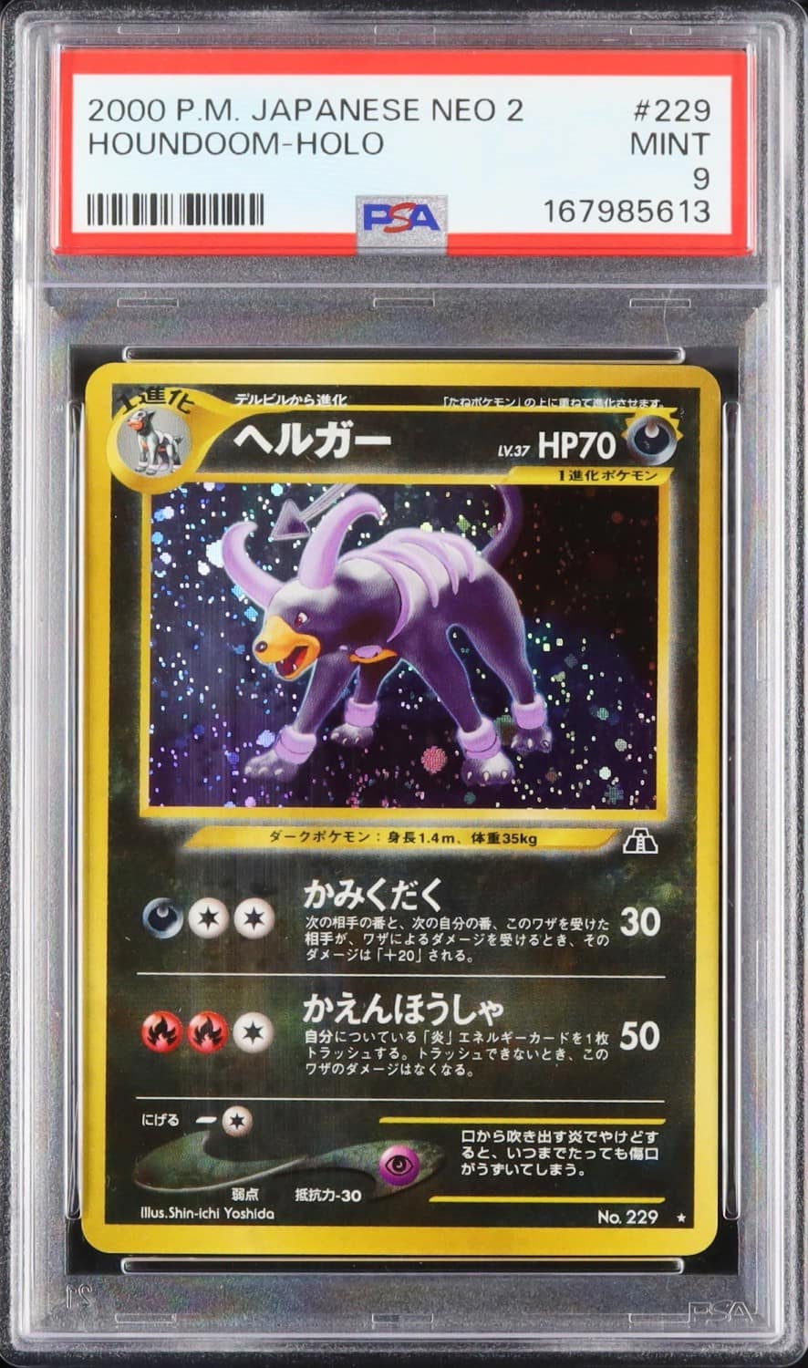 Houndoom