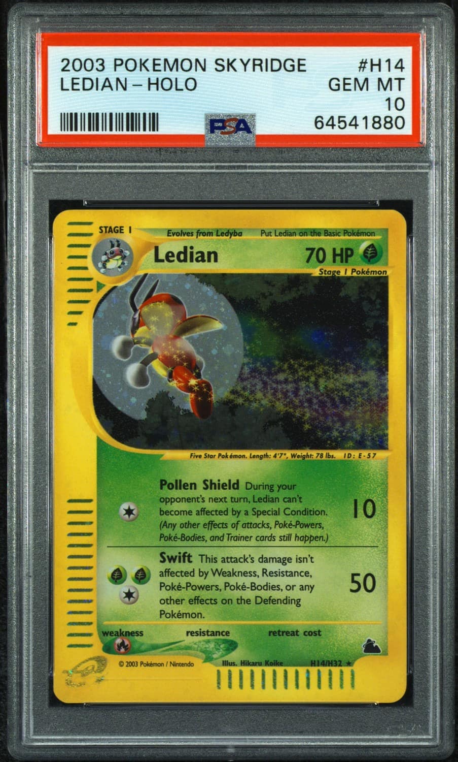 Ledian