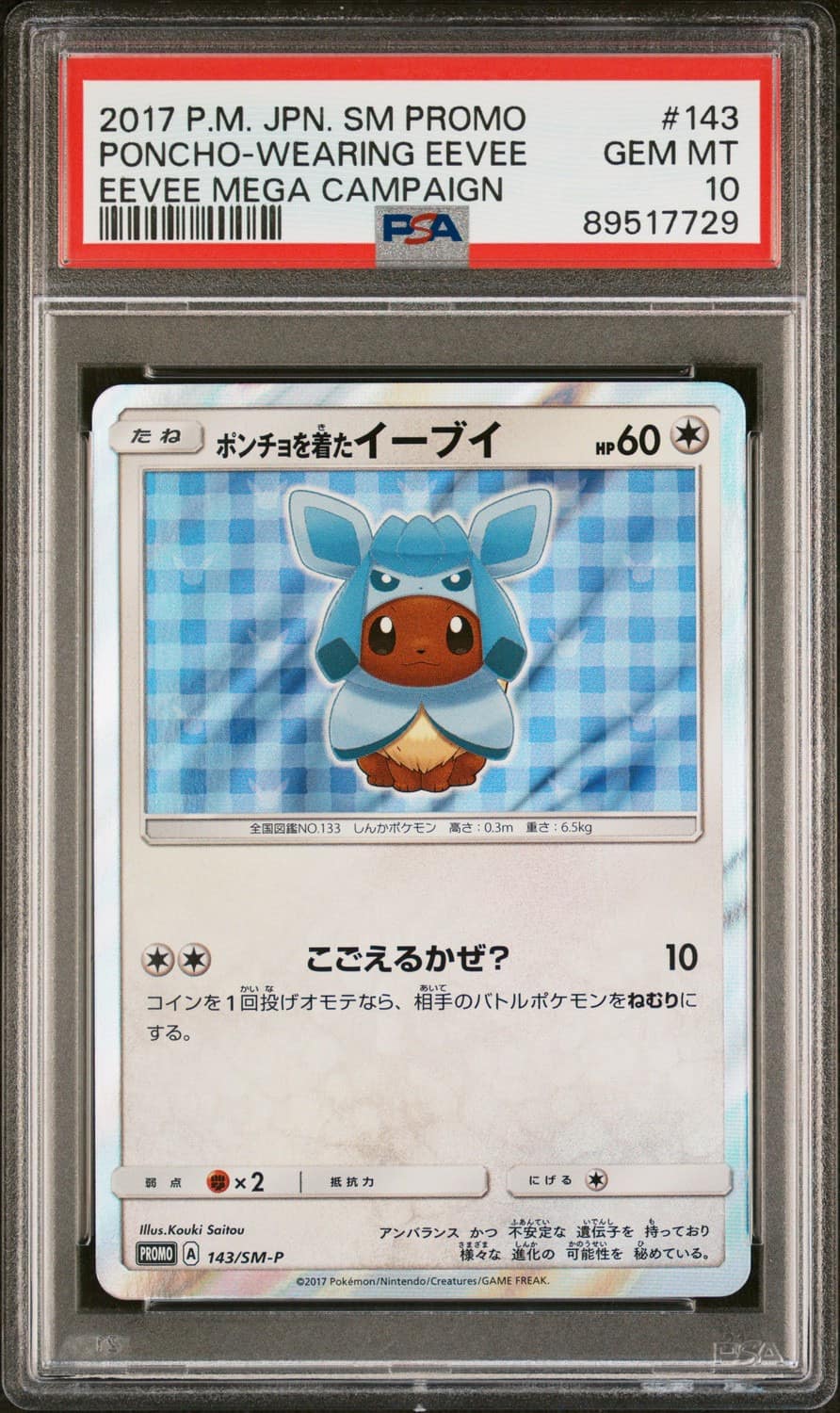 Poncho-Wearing Eevee