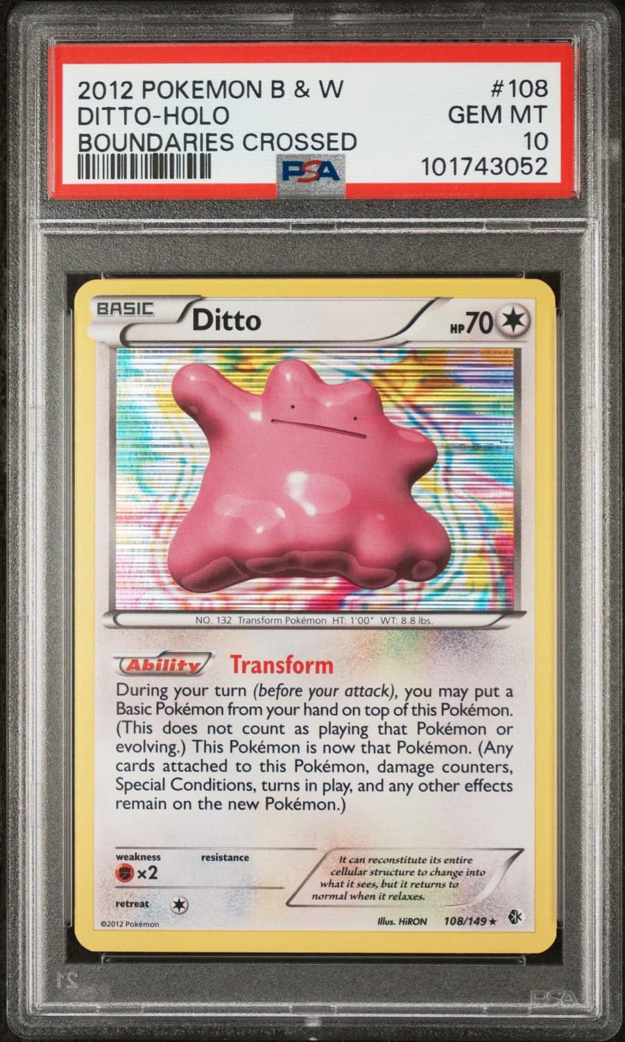 Ditto
