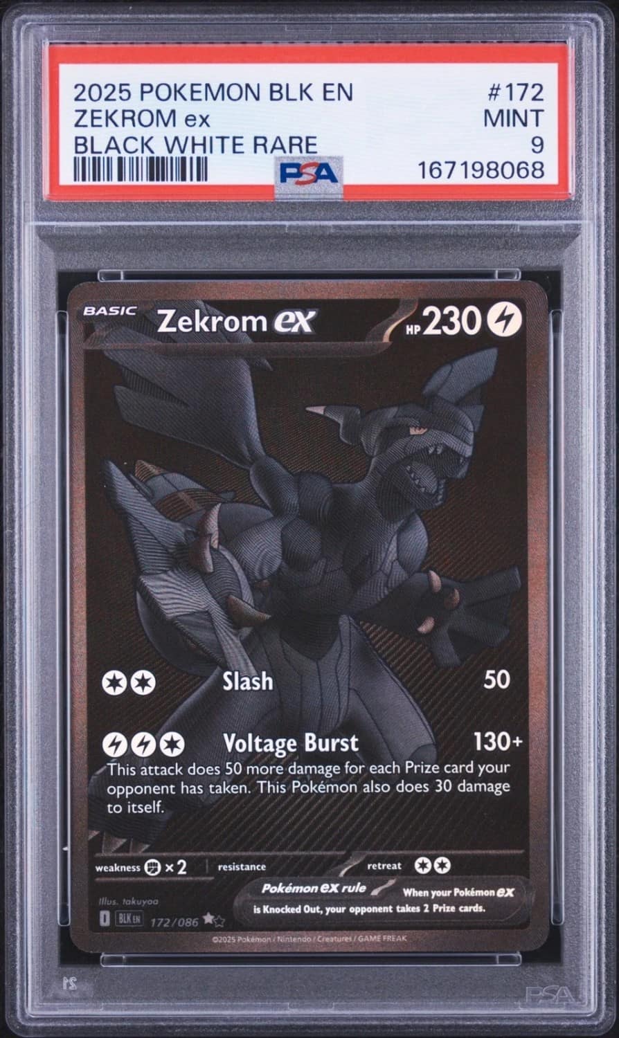 Zekrom Ex