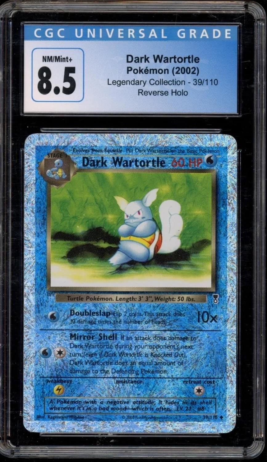 Dark Wartortle