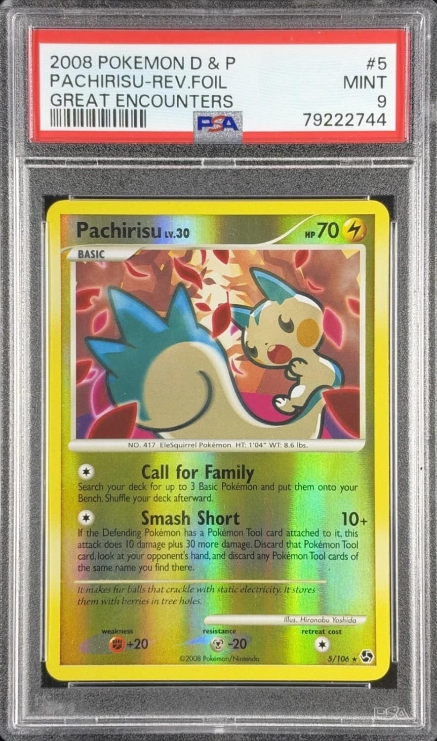 Pachirisu