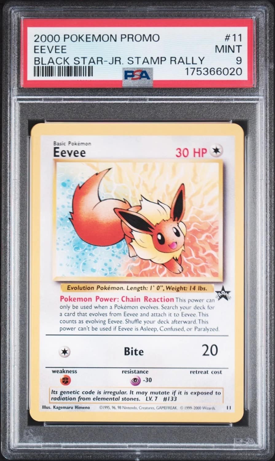Eevee
