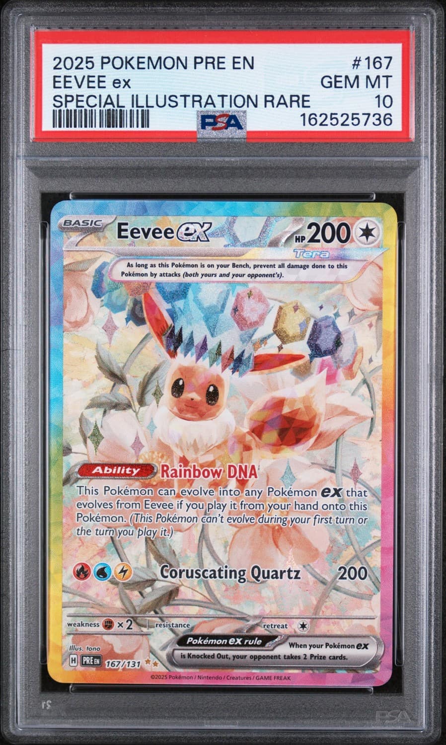 Eevee Ex