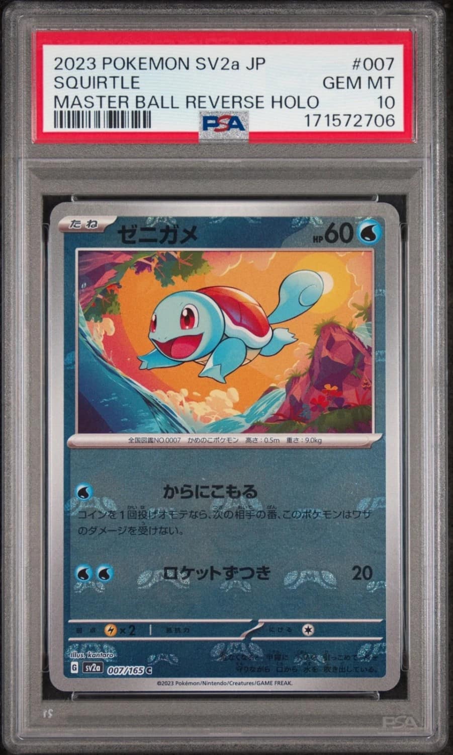 Squirtle