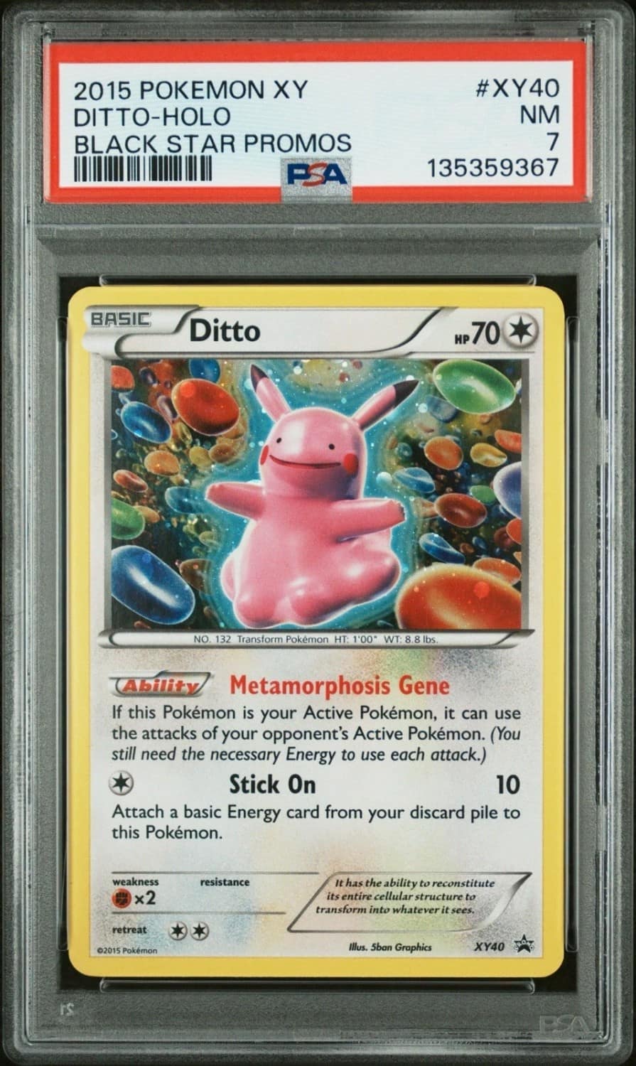 Ditto