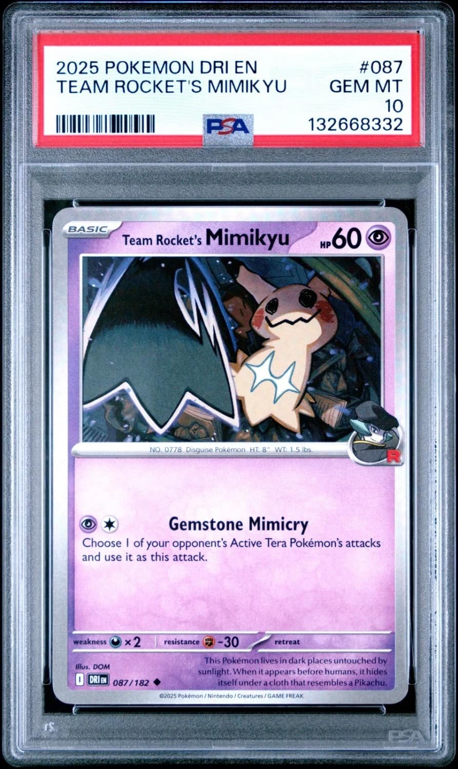 Team Rocket'S Mimikyu