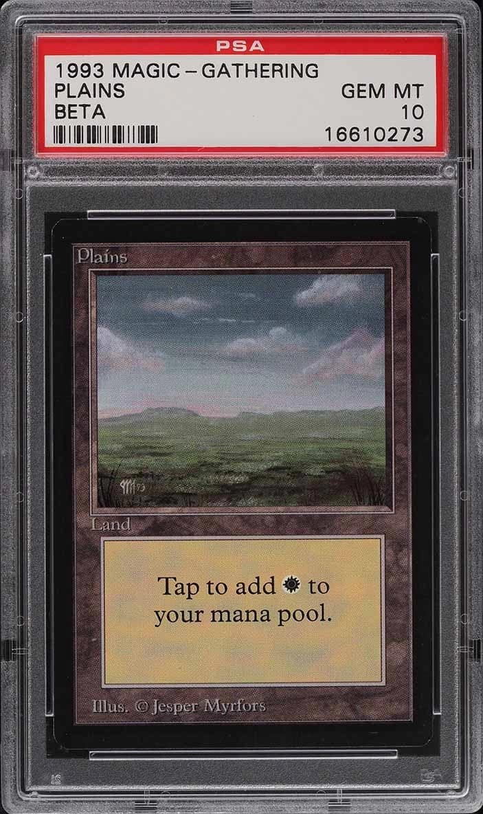 Plains
