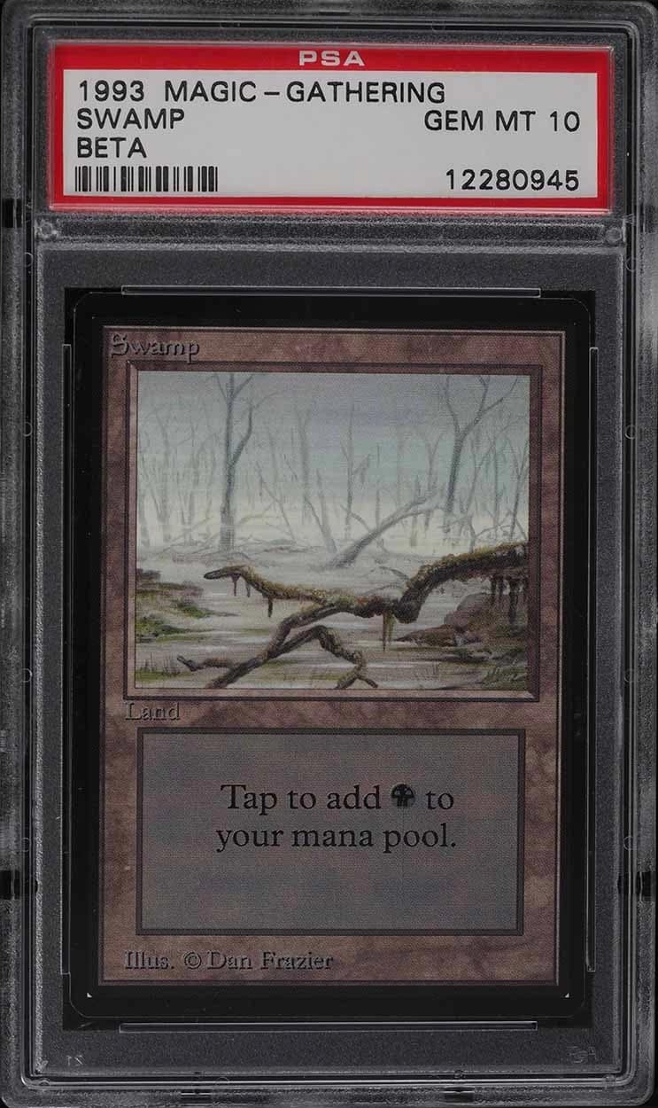 Swamp