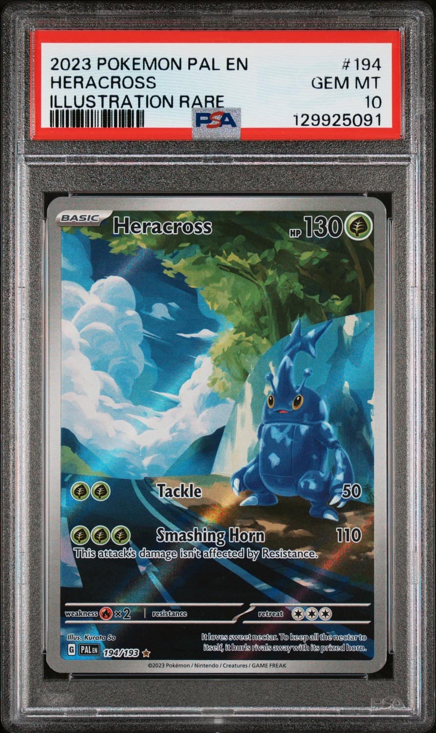 Heracross