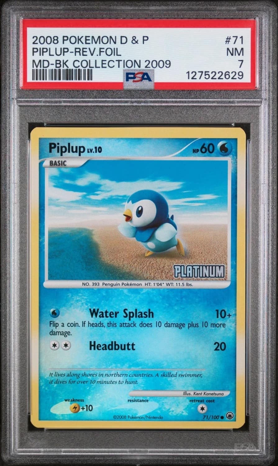 Piplup