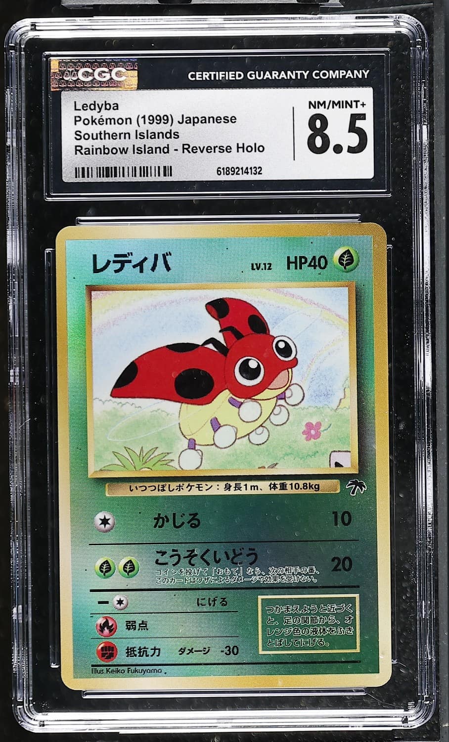 Ledyba