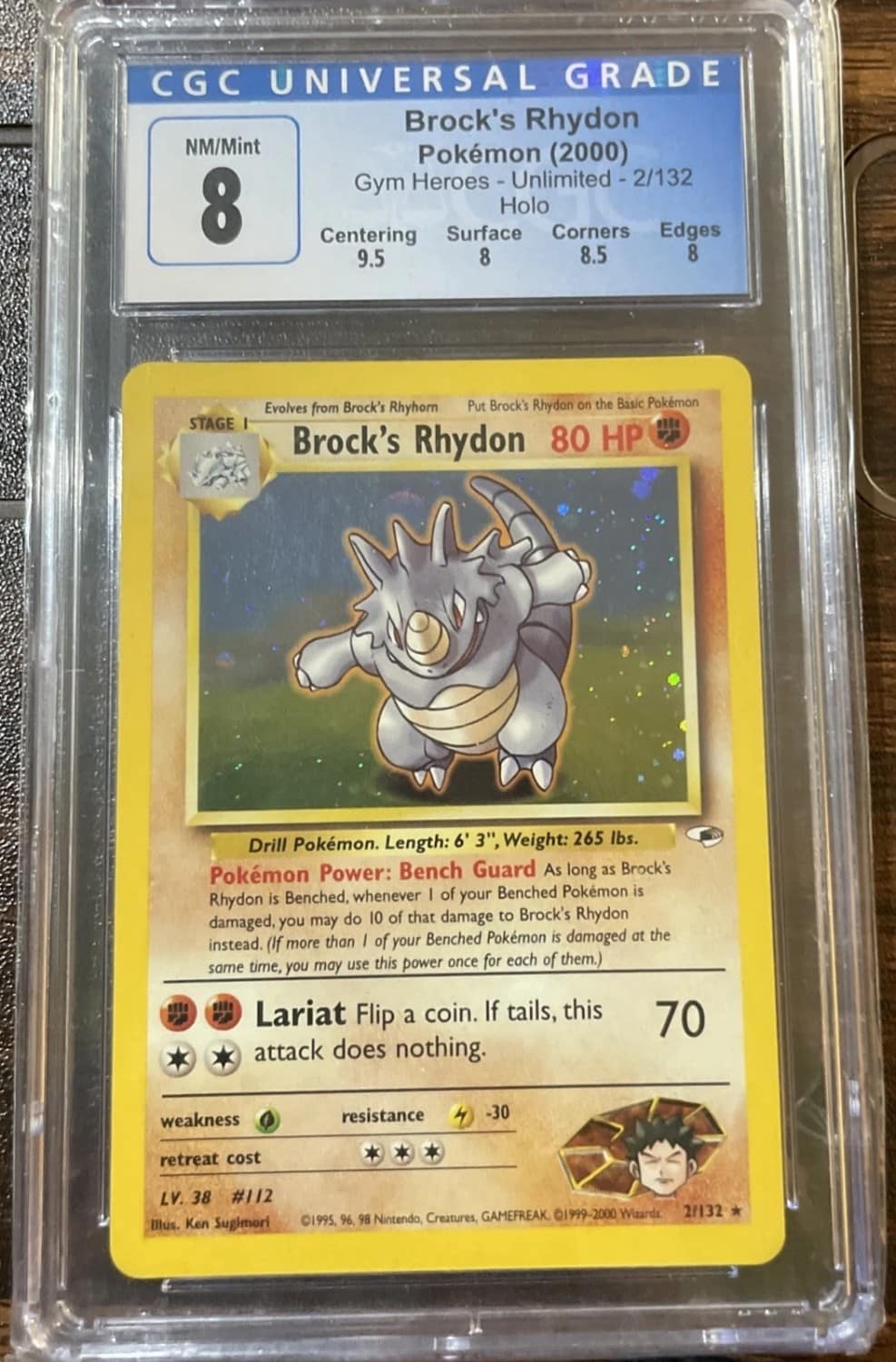 Brock'S Rhydon