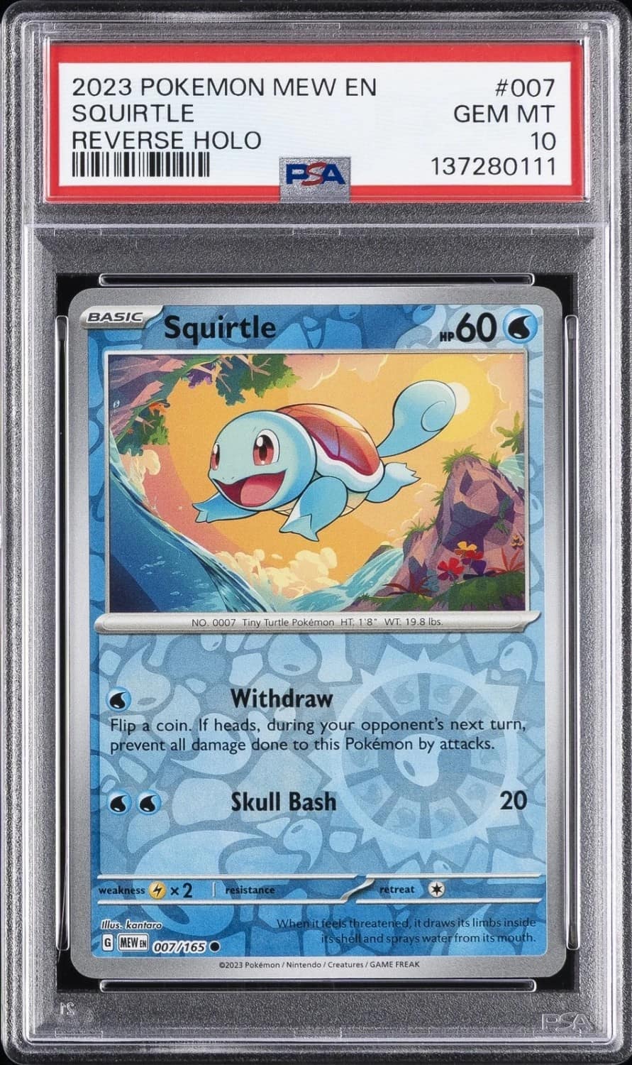 Squirtle