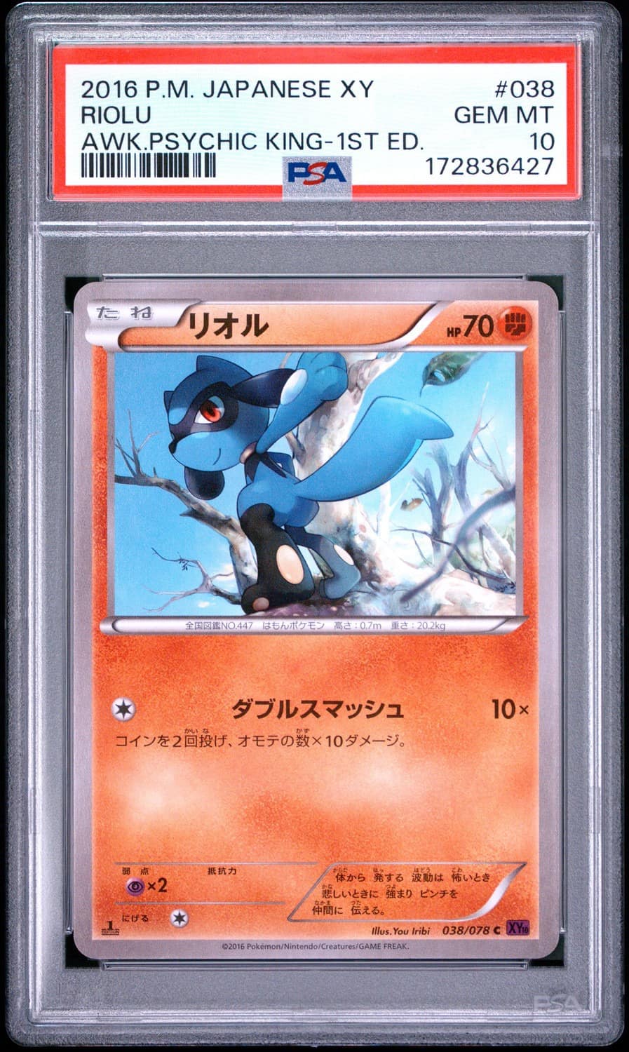 Riolu