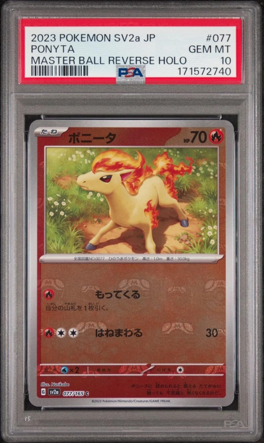 Ponyta