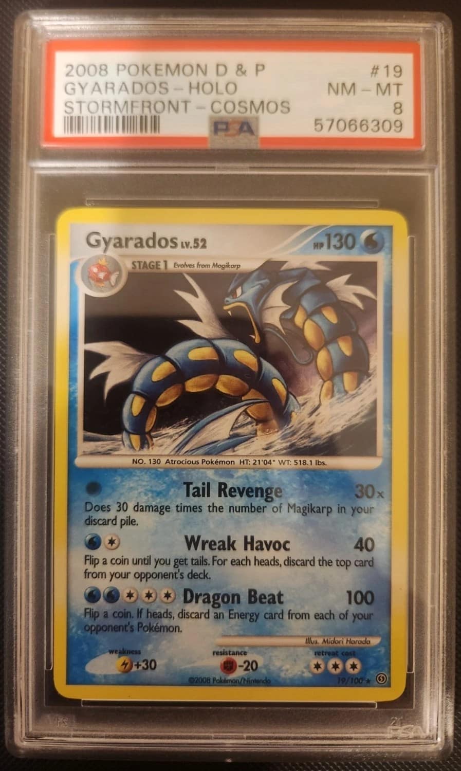 Gyarados