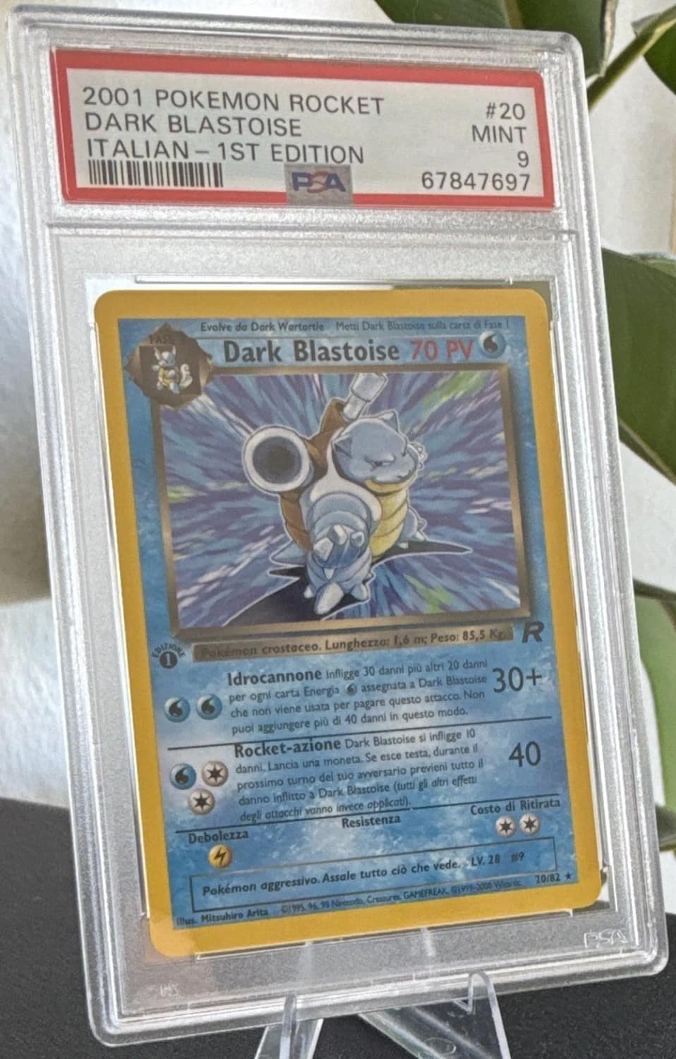 Dark Blastoise