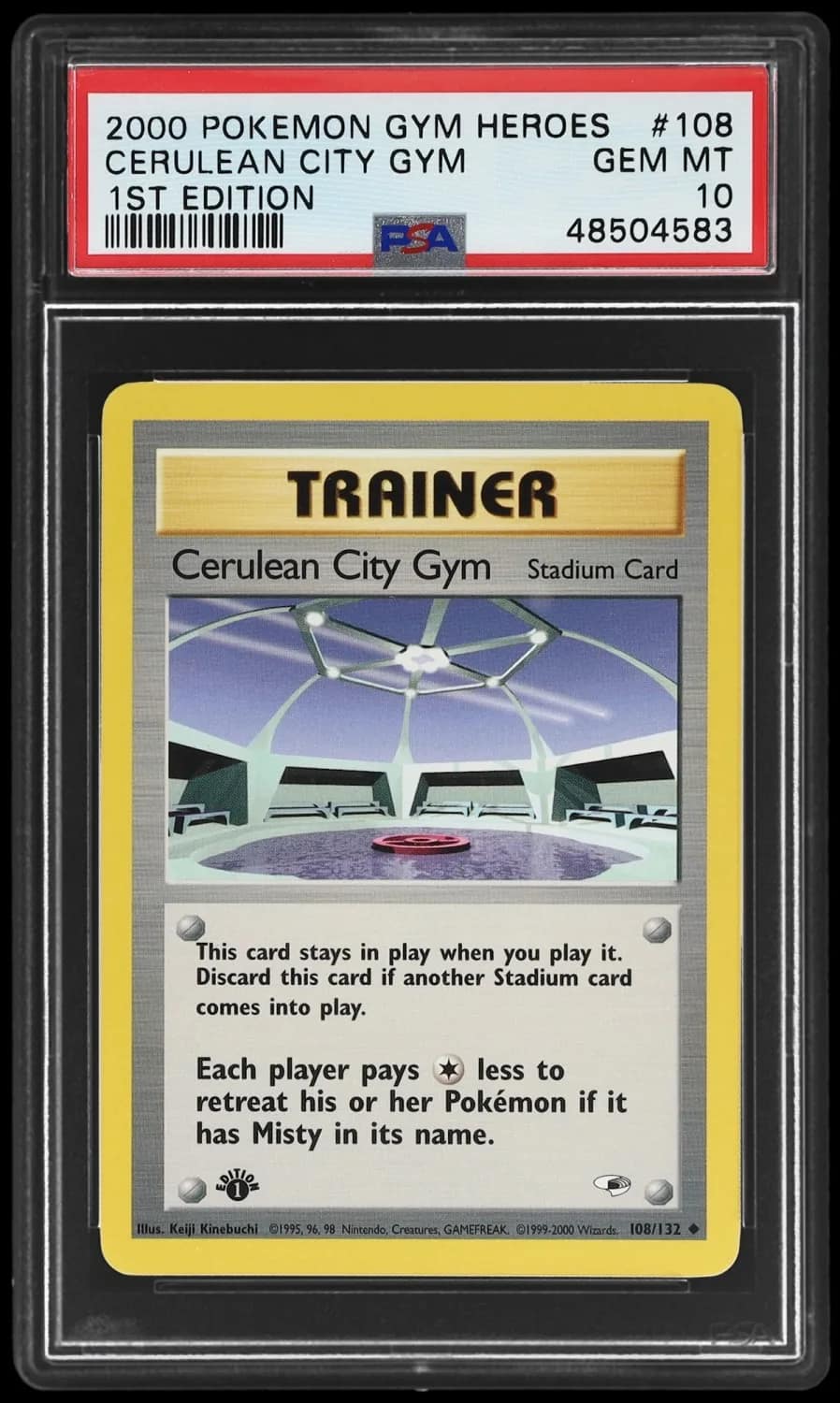 Cerulean City Gym