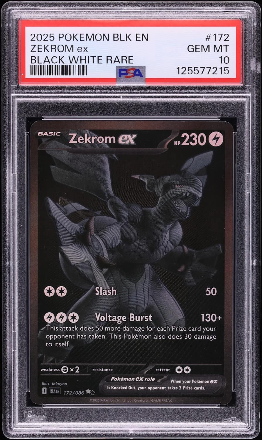 Zekrom Ex