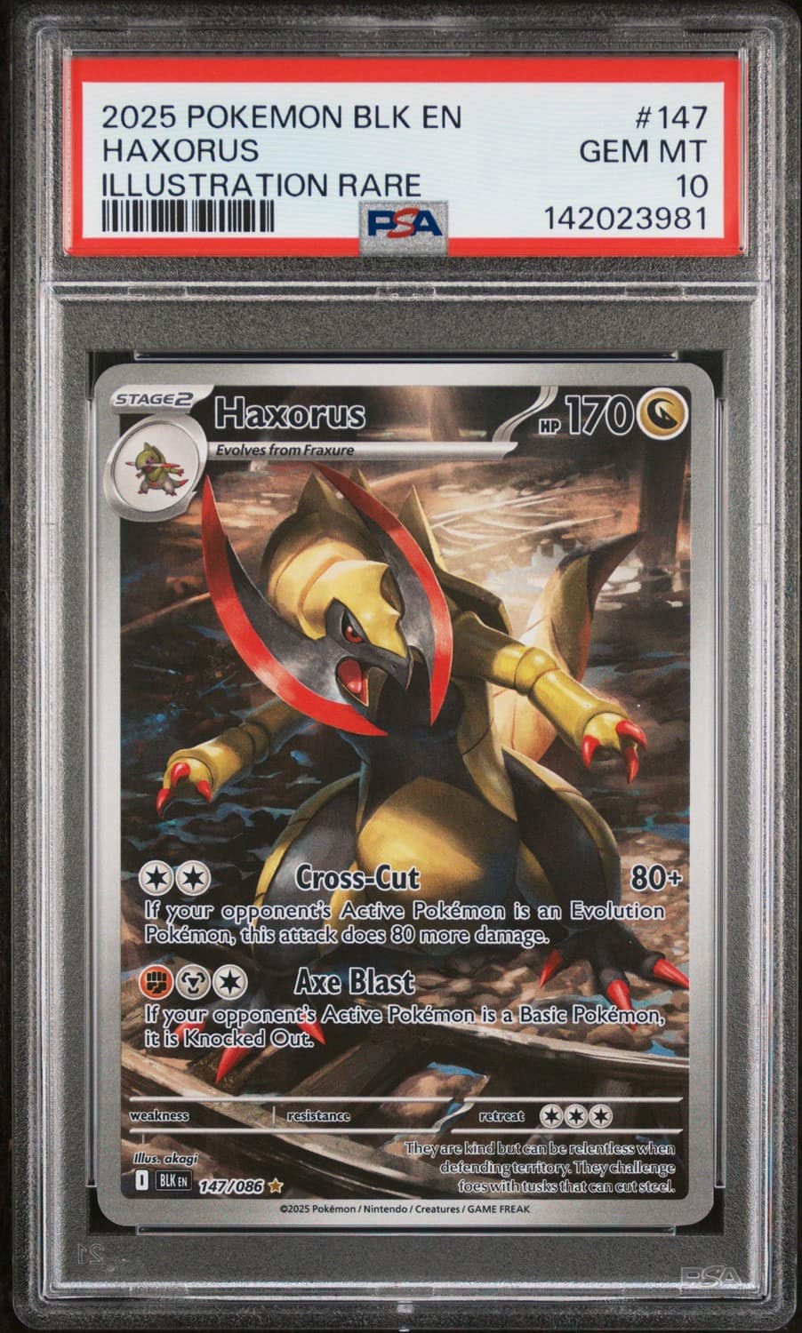 Haxorus