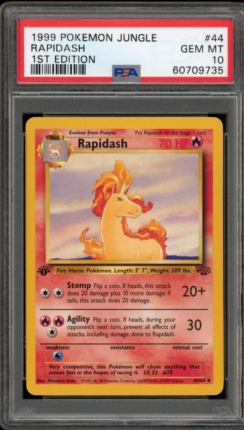 Rapidash