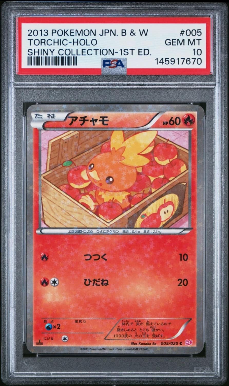 Torchic