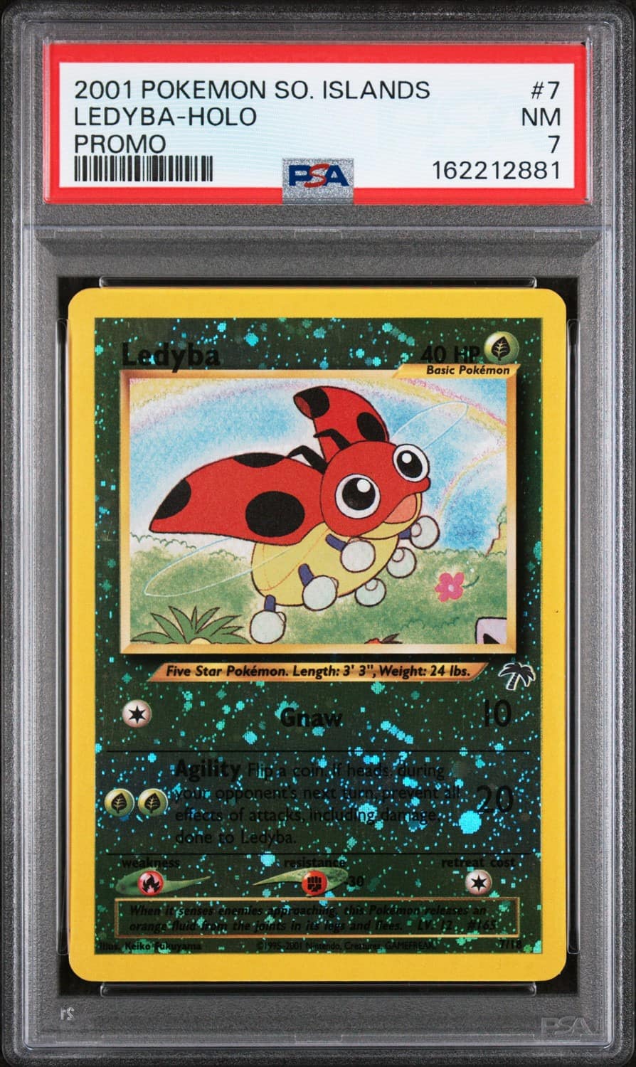 Ledyba